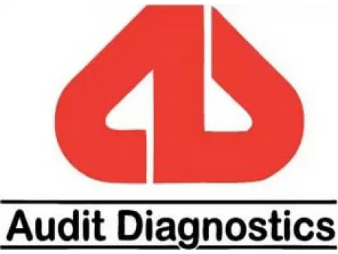 Audit Diagnostics